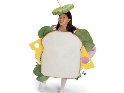 Fran And Friends Sandwich Costume