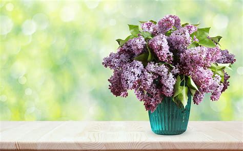 Bouquet Of Lilacs In A Vase Spring Flowers Vase Lilacs Hd