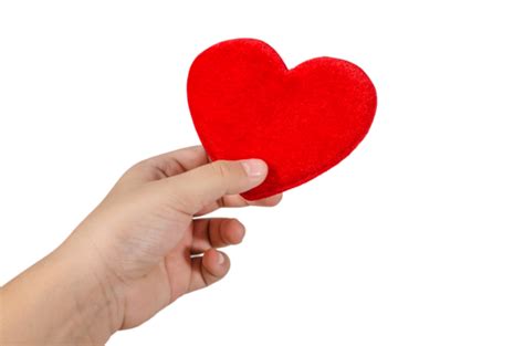 Red Heart In The Hands Isolate Human Hand Path Two Hands Human Finger