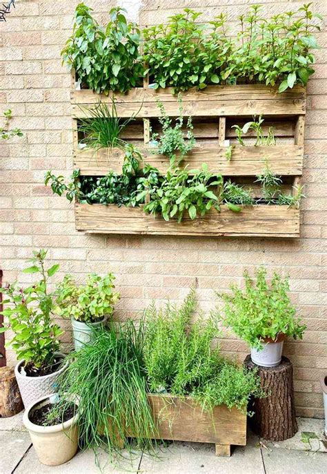17 Hanging Herb Garden Ideas That Really Save Space