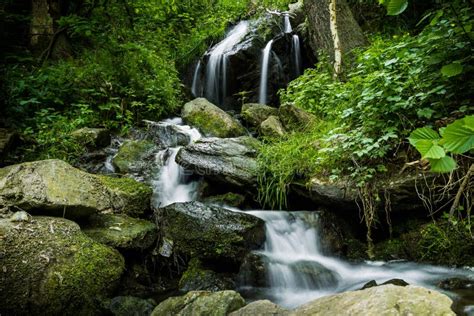 Cascade Falls Over Mossy Rocks Stock Image Image Of Nature Bohemia