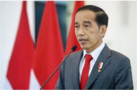 Profil Singkat Dan Biodata Joko Widodo Presiden Republik Indonesia