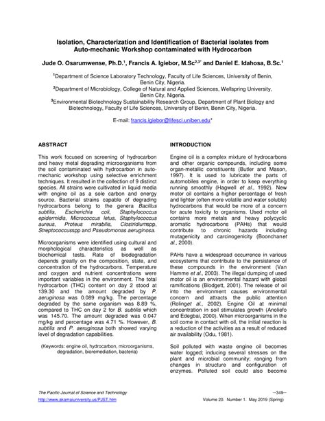 Pdf Isolation Characterization And Identification Of Bacterial