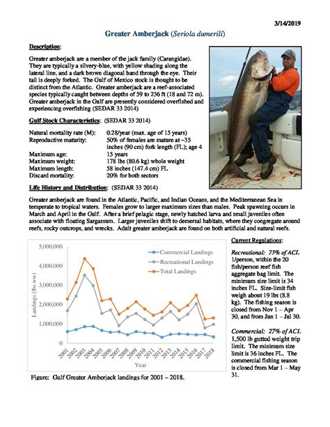 Greater Amberjack Hot Sheet 031419final Gulf Of Mexico Fishery