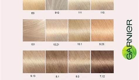 Garnier Hair Colors Chart