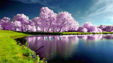 10 Excellent Spring Wallpaper Desktop 2023 You Can Save It For Free