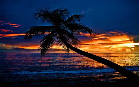 Tropical Sunset Beach Palm Tree Ocean Waves Sky Clouds