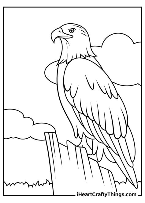 Bald Eagle Coloring Pages Updated 2023