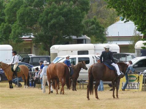 Holbrook Agricultural Show Nsw Holidays And Accommodation Things To Do