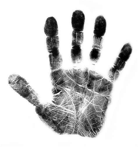 History Identity And The Glass Castle Handprint