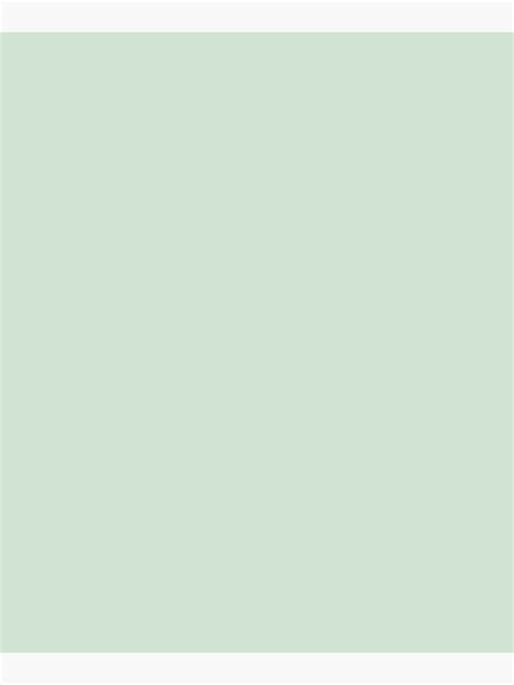 Gentle Mint Light Pastel Green Solid Color Pairs To Sherwin Williams
