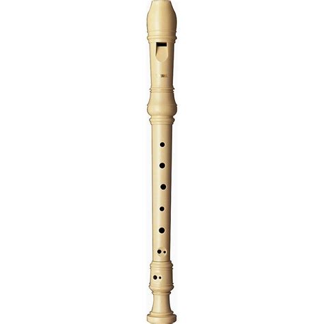 Recorder Why Did We Learn To Play The Recorder In School How To