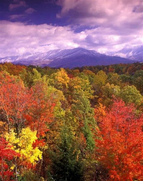 Autumn Mountains In Tn Beautiful Places Smokey Mountains Landscape