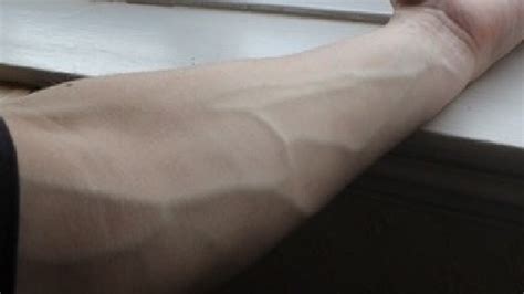 How To Get Veins To Pop Out Of Your Arms Permanently In Only 5 Minutes Youtube