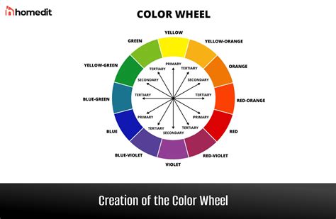 What Each Color Means