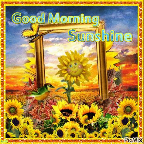 Happy Sunflower Good Morning Sunshine  Morning Good Morning Good