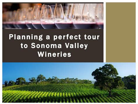 Planning A Perfect Tour To Sonoma Valley Wineries Sonoma Valley