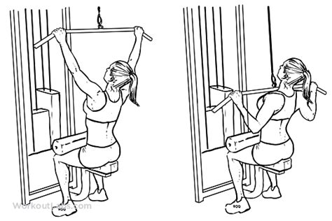 Wide Grip Lat Pulldown Exercise Guide Workoutlabs Workout Guide