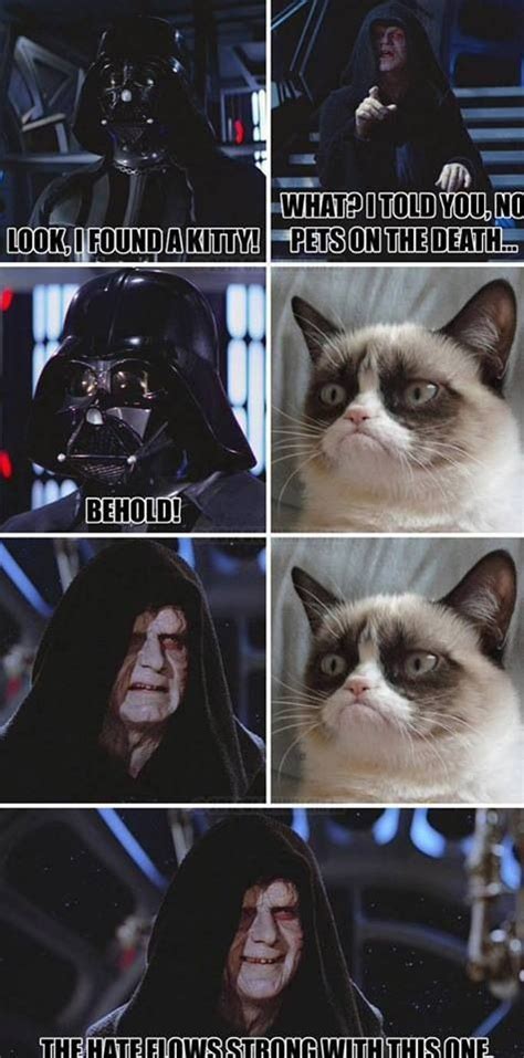 Sith Kitty Grumpy Cat Humor Funny Cat Memes