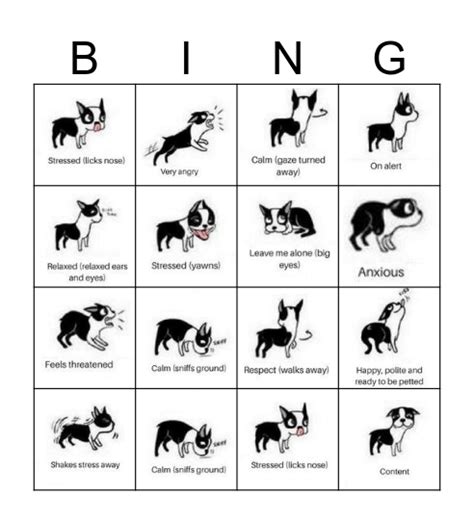 Dog Body Languagecalming Signals Bingo Card