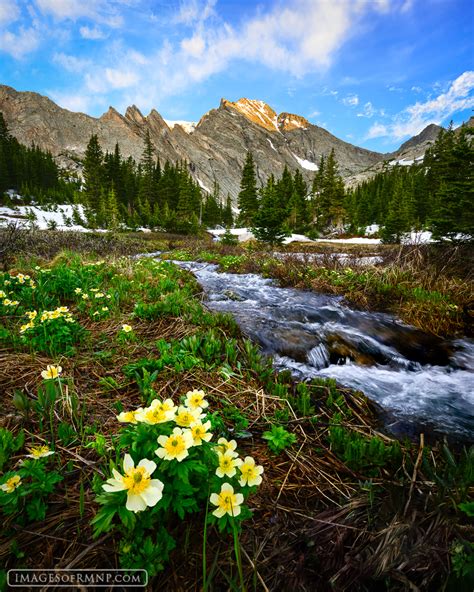 July Spring Backcountry Rocky Mountain National Park Images Of