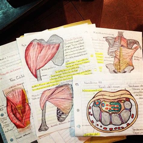 Pin By Kourtney Limeberger On Est Study Notes Notes Taking Ideas