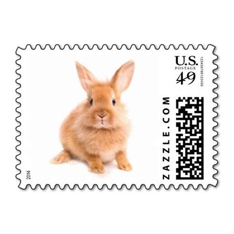 Rabbit Postage Rabbit Stamp Design Stamp