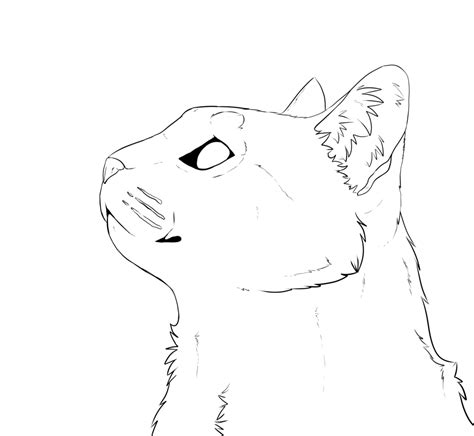 Cat Face Line Drawing At Getdrawings Free Download