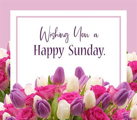 100 Happy Sunday Wishes Messages And Quotes Wishesmsg Sunday
