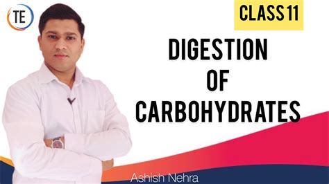 Maybe you would like to learn more about one of these? Digestion of Carbohydrates| Digestion and absorption ...