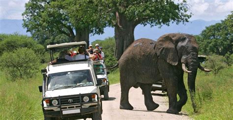 Au Départ De Nairobi Safari De 2 Jours Dans Le Parc National D