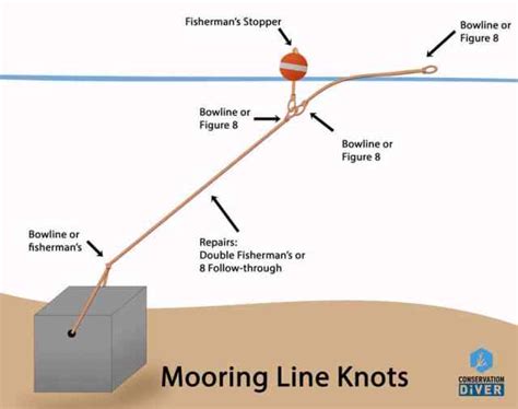 How To Make Mooring Lines Conservation Diver