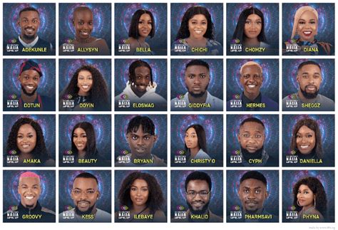Meet The Big Brother Naija Housemates As Season 7 Kicks Off Skabash