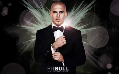Pitbull Singer Wallpapers Wallpaper Cave