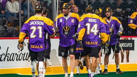 12 Facts About San Diego Seals