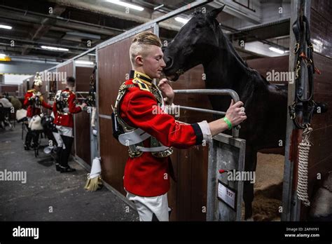 The Household Cavalry Mounted Regiment Make Hi Res Stock Photography