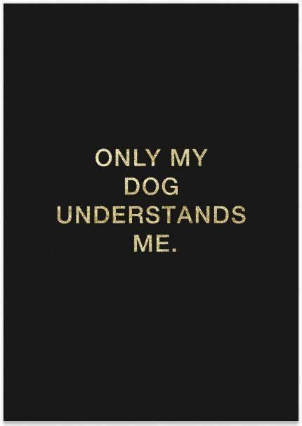 Rescuedog Dog Itsarescuedoglife Dog Quotes I Love Dogs Dog Life