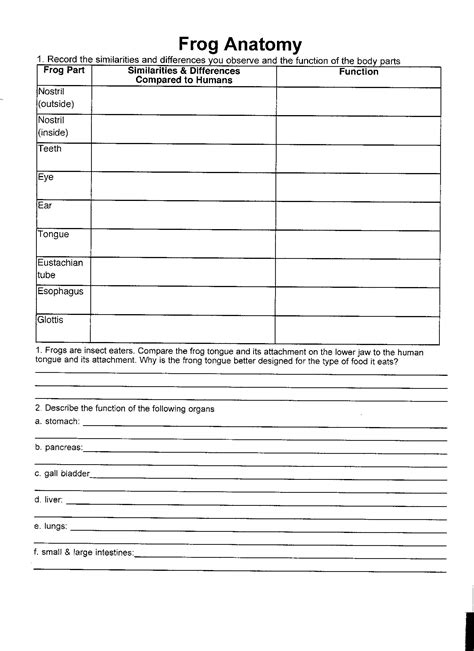 What is an example of natural selection? Kidney Dissection Worksheet | Free Printables Worksheet