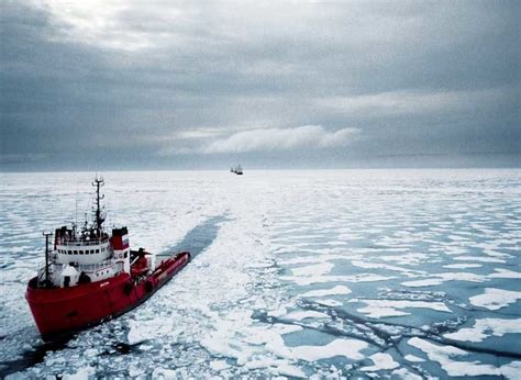The Future Of The Arctic Modern Diplomacy