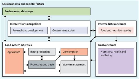 Food Systems Nutrition Health And The Environment The Lancet