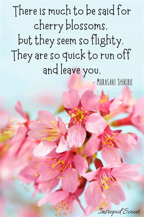 165 Beautiful Cherry Blossom Quotes And Captions For Instagram