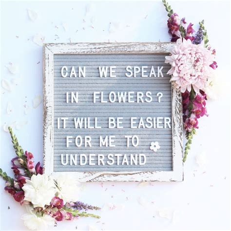 11 letter board quotes that will inspire you. Letterboard Quote about Flowers. - Diy Flowers in 2021 | Flower quotes, Floral quotes, Bloom quotes