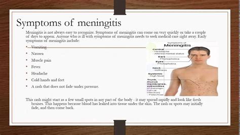 Meningitis Powerpoint Youtube