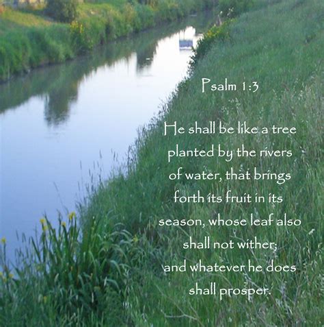 By The Rivers Of Water Wonder Quotes Bible Verses Heartfelt Quotes