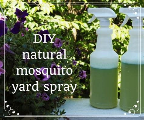 How To Make Homemade Organic Mosquito Yard Spray Mosquito Yard Spray