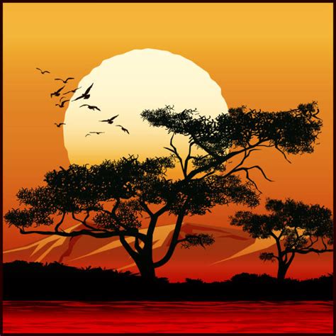 African Tree Illustrations Royalty Free Vector Graphics And Clip Art Istock
