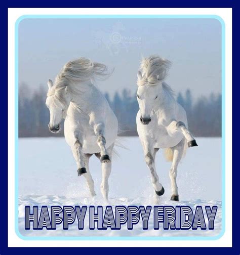 Happy Friday Horses Animals Beautiful Beautiful Horses