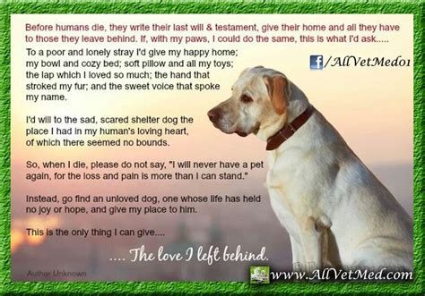 Legacy And Wish Of A Dog Dog Poems Dog Quotes Old Dogs