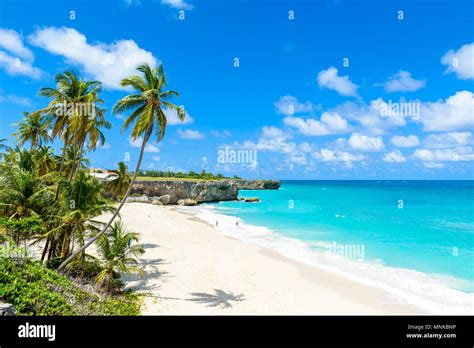 Bottom Bay Barbados Paradise Beach On The Caribbean Island Of Barbados Tropical Coast With