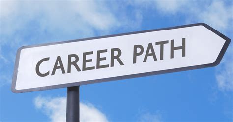 Career Pathwhats The Best One For Me